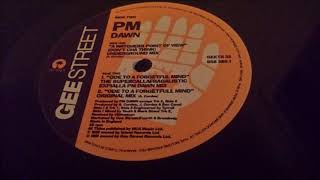 PM Dawn - A Watcher's Point Of View (Don't Cha Think) (Underground Mix)