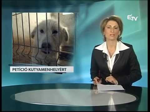 Híradó 2015. november 9. – Erdélyi Magyar Televízió