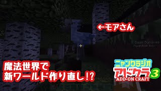 [朝から雑談]Minecraft アドオンで遊ぼう 3[にゃんくらじお]