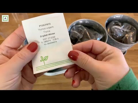 2023 Dag 56 | Planter urter