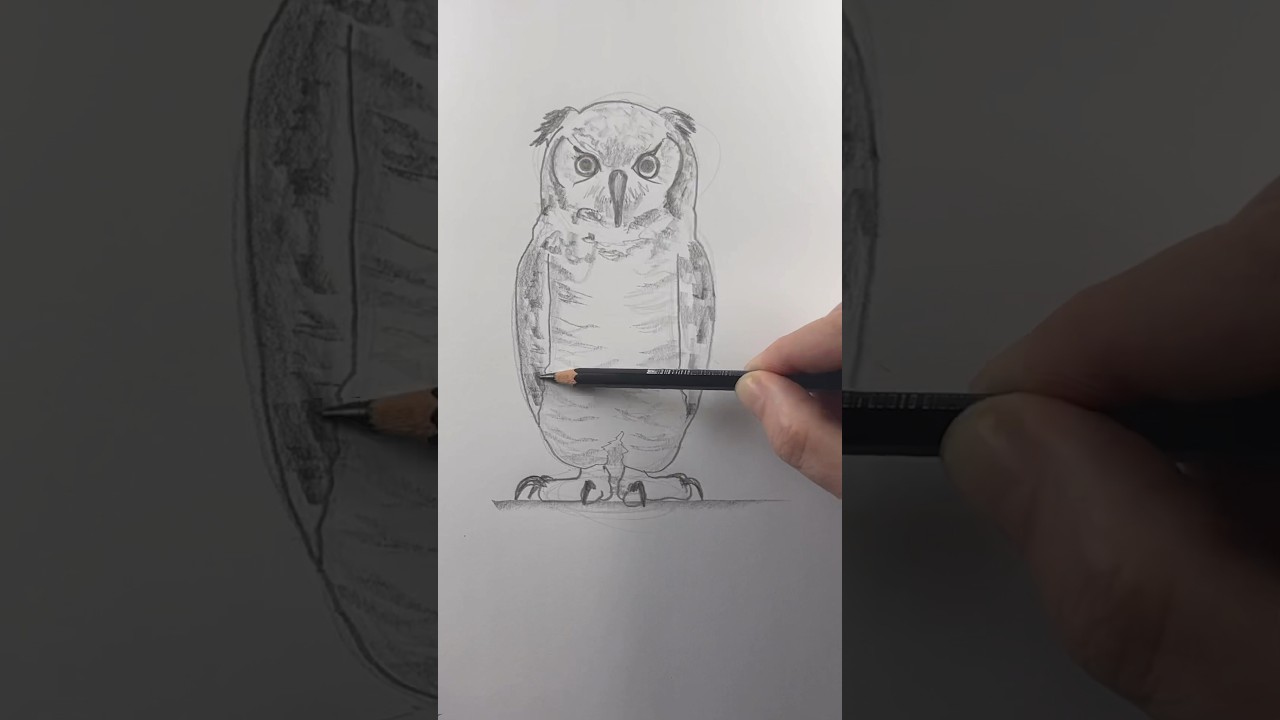 Draw an owl 🦉 Easy drawing lesson for beginners on how to draw an owl. #drawinglessons