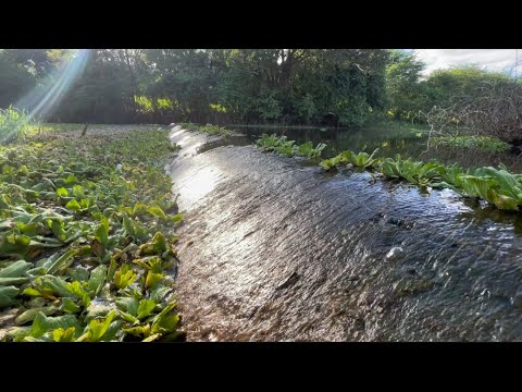 Rio Trici/Rio Jaguaribe diminuiu muito suas águas para o açude Arneiroz 2.