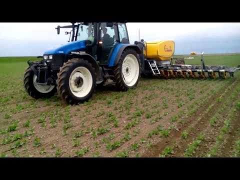 System Cameleon / Erste Saison im Cecilienkoog in der nordfriesischen Marsch