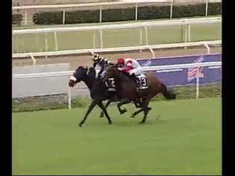 Premio Campidoglio 2012 (CONDIZIONATA)