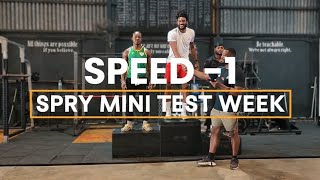 Coaches Awards (Speed): High Box Jump & Sprint Challenge Champions #gym #trackandfield  #challenge