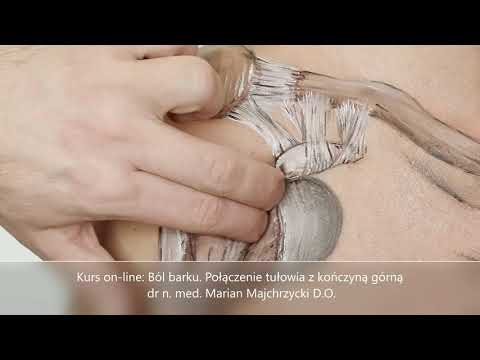 Ból barku. Połączenie tułowia z kończyną górną: guzki i bruzda międzyguzkowa