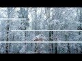 "Stillness" - Crystal Forest, by Nox Arcana
