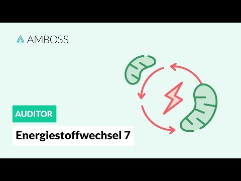 Energiestoffwechsel Teil 7 -- Atmungskette -- AMBOSS Auditor
