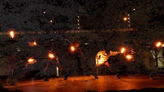【西尾教団】君が歌い。僕が踊る。