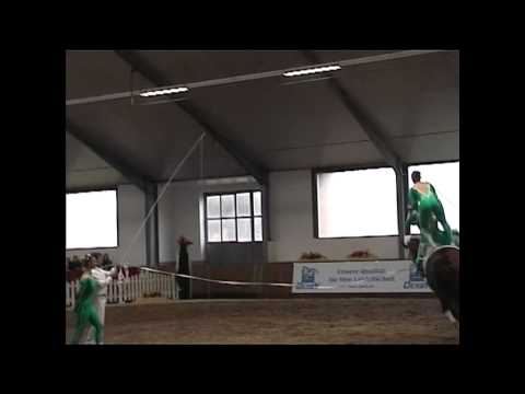 Norddeutsche Meisterschaft Vecha 2010 - Hohenhameln II.avi