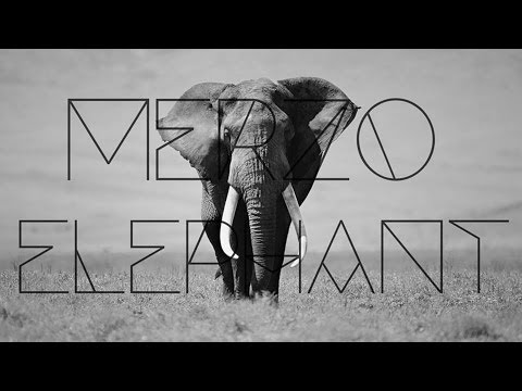 Merzo - Elephant