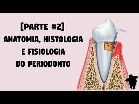 [Dentist Studies #2 PT 2] Anatomy, Histology and Physiology of the Periodontium - Exams for Dentists