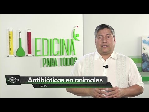 , title : 'Medicina para todos: Antibióticos en animales'