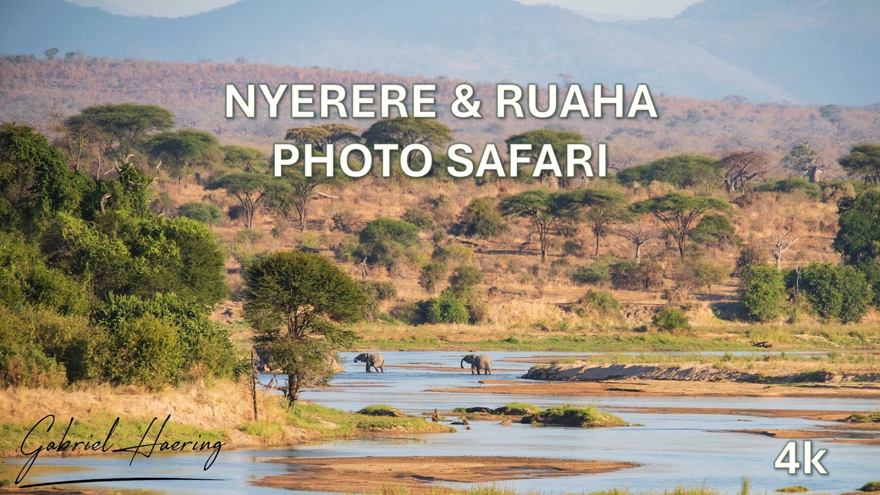 Nyerere and Ruaha wildlife photography film in Southern Tanzania