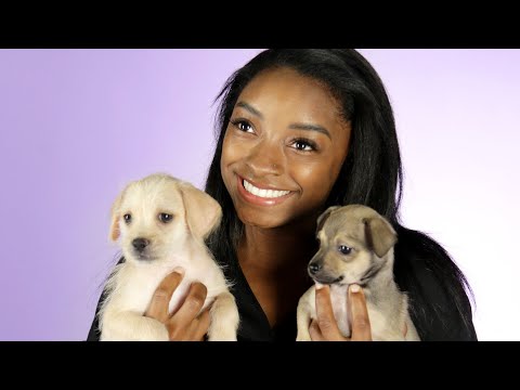 可愛到融化！體操天后拜爾絲邊玩小狗邊回答粉絲問題！ (Simone Biles Plays With Puppies While Answering Fan Questions)