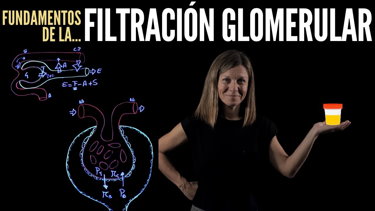 Nefrología III: Filtración glomerular