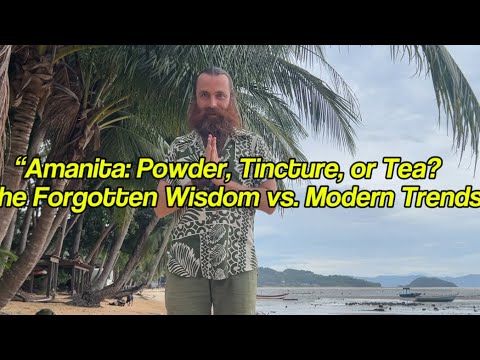 Amanita: Powder, Tincture, or Tea? — The Forgotten Wisdom vs. Modern Trends.