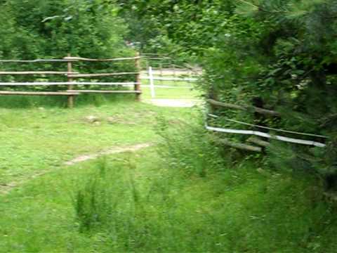 Rökkvi von der Sternhöhe