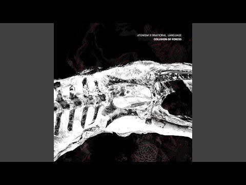 We Are Rock Stars (Atonism Remix)