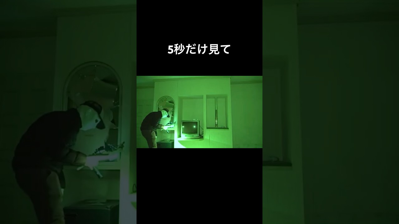 これなに？#shorts