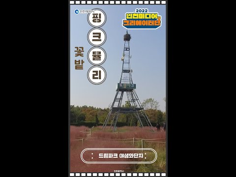 인천시 ㅣ드림파크 야생화 단지 ㅣ #2022인천미디어크리에이터