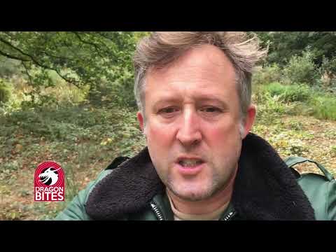 The Dragon Detective - Dragon Bite #17 Dragon crash site!