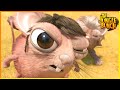 This Land Is Not Your Land Jungle Bunch 45 Compilation Cartoon For Kids
