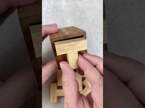 Don’t focus on fitting the T’s perfectly in the Six-T Puzzle cutout.  #puzzle