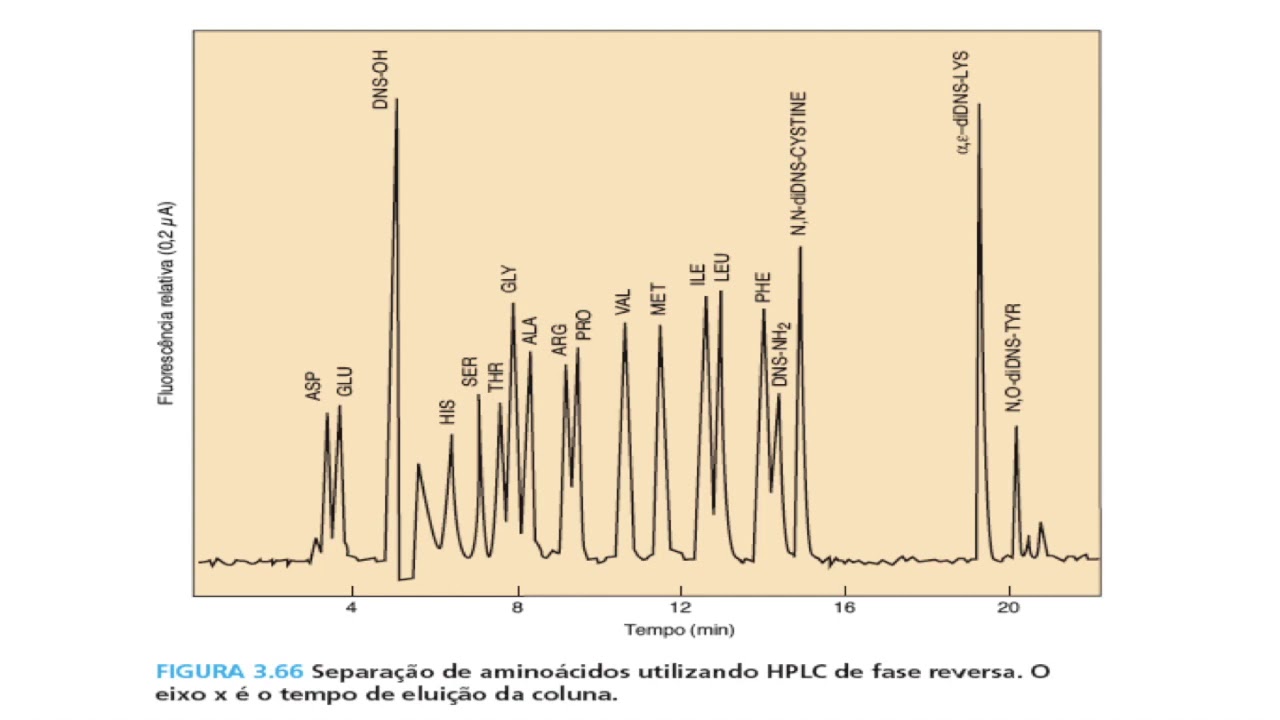 S05_V03 - Dosagem de aminoácidos