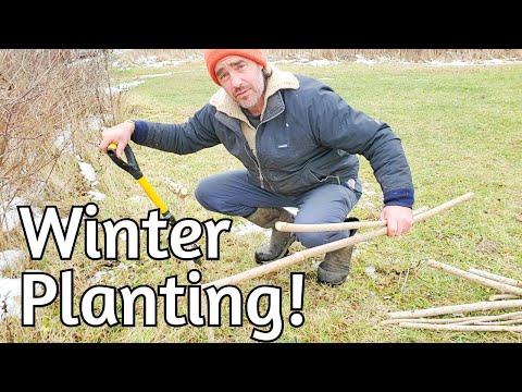 Winter Orchard Planting: Rainwater, Soil, Carbon Farming Deep Dive
