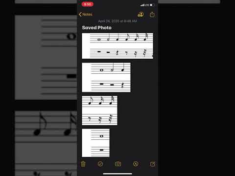 Mr. Gore on notation breaking down Whole, Half, and Quarter notes in 4/4