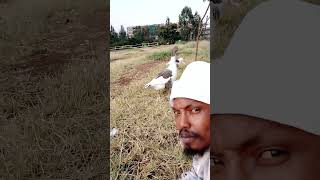 Download lagu Dj Maskil. - the Pekins !!! mp3 Download lagu Dj Maskil. - the Pekins !!! mp3