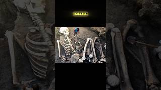 Download lagu TERNYATA INILAH BUKTI SEBENARNYA BAHWA MANUSIA RAKSASA PERNAH MENGHUNI BUMI #shorts #viral #fyp mp3 Download lagu TERNYATA INILAH BUKTI SEBENARNYA BAHWA MANUSIA RAKSASA PERNAH MENGHUNI BUMI #shorts #viral #fyp mp3