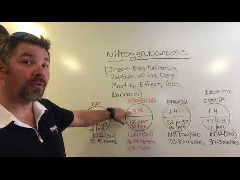 Understanding Nitrogen Narcosis (The Rapture Of The Deep)