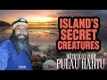 Pulau Hantu Intertidal Zone Hidden Marine Creatures Of Singapore S Ghost Island