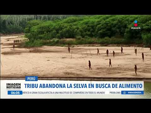 Captan a la tribu más aislada del mundo en Perú | Noticias con Francisco Zea