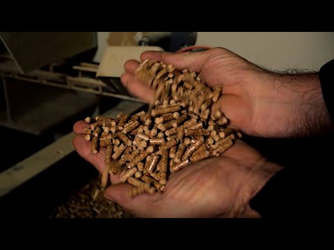 download lagu mp3 mp4 Bestpellet, download lagu Bestpellet gratis, unduh video klip Bestpellet