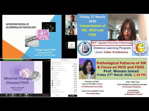 Interpretation of glomerulonephritis  and focus on MCD and FSGS. Prof. Wesam Ismail, 27 March 2020