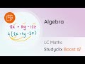 Factor Theorem Algebra Leaving Cert Maths Studyclix Boost