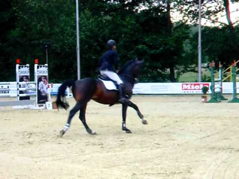 CASPER B  2011   / Henrik Griese    8,6 Platz 1
