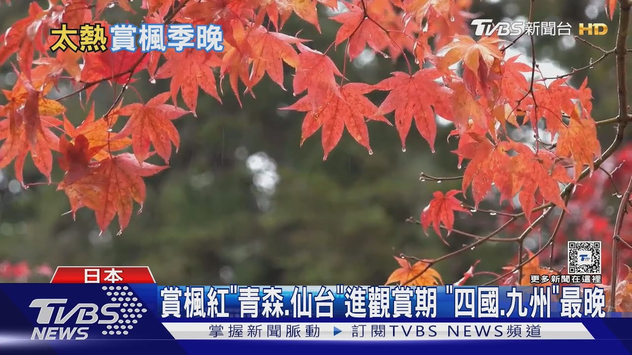 日楓葉季大遲到!楓紅晚2週 京阪12月初最美