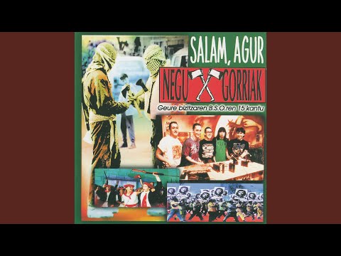 Neskak Zero Katea Ikusten Du