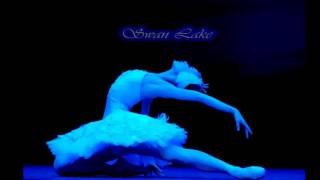 David Garrett * Swan Lake Theme