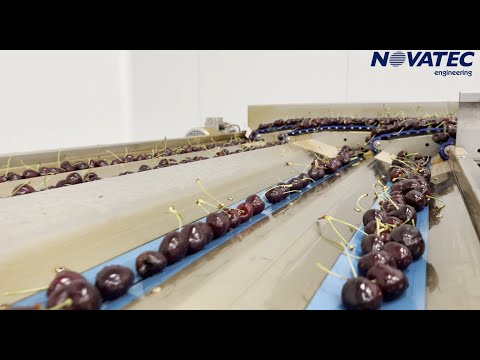 Novatec S.A. - Sorting & Packing Line for Cherries
