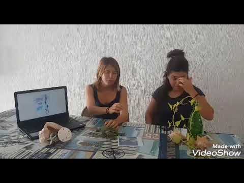 #Talk bio 2: Les Tortues- Playa del carmen, Mexique
