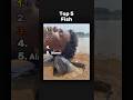 Best Fish Ranking Fish Memes Funny Tiktok