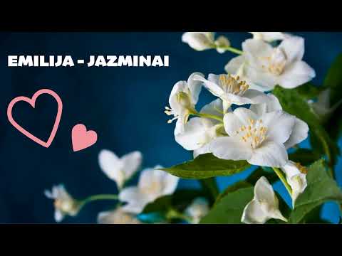 EMILIJA - JAZMINAI