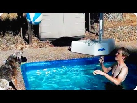 Future NBA Star | Dog Shoots Hoops