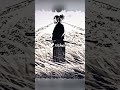 Everything Is Within You Manga VAGABOND Quotes Motivation Anime Miyamotomusashi