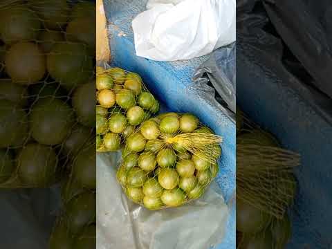 feira de Sumé paraíba